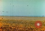 Image USAAF Thunderbolts P-47 France, 1945, de la seconde 15 séquences d'archives historiques vidéo 65675020421