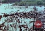 Standbild VE Day Feier Paris Frankreich, 1945, aus Sekunde 9 historischem Filmmaterial Videoclip 65675020435