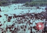 Standbild VE Day Feier Paris Frankreich, 1945, aus Sekunde 10 historischem Filmmaterial Videoclip 65675020435