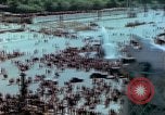 Standbild VE Day Feier Paris Frankreich, 1945, aus Sekunde 46 historischem Filmmaterial Videoclip 65675020435