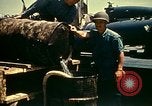 Standbild Matrose der US Navy im Hafen von Tunis Tunis Tunesien Tunis Port, 1943, aus Sekunde 44 historischem Filmmaterial Videoclip 65675020441