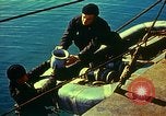Immagine di Grandi landing craft fanteria Inghilterra, 1944, secondo 4 filmato di repertorio 65675020451