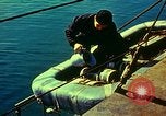 Immagine di Grandi landing craft fanteria Inghilterra, 1944, secondo 16 filmato di repertorio 65675020451