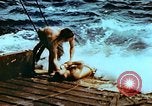 Standbild Amphibious task force Pacific Theater, 1944, aus Sekunde 19 historischem Filmmaterial Videoclip 65675020458