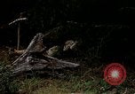 Standbild amphibischen Übungen in Chesapeake Bay Während Zweiten Weltkrieg United States USA, 1943, aus Sekunde 36 historischem Filmmaterial Videoclip 65675020463
