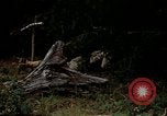 Standbild amphibischen Übungen in Chesapeake Bay Während Zweiten Weltkrieg United States USA, 1943, aus Sekunde 37 historischem Filmmaterial Videoclip 65675020463