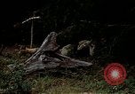 Standbild amphibischen Übungen in Chesapeake Bay Während Zweiten Weltkrieg United States USA, 1943, aus Sekunde 38 historischem Filmmaterial Videoclip 65675020463