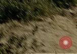 Image of Tank attack training United States USA, 1942, second 46 stock footage video 65675020469