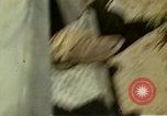 Image of Tank attack training United States USA, 1942, second 51 stock footage video 65675020469