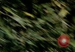 Image of Tank attack training United States USA, 1942, second 53 stock footage video 65675020469