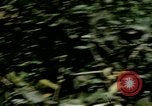 Image of Tank attack training United States USA, 1942, second 55 stock footage video 65675020469