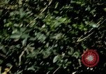 Image of Tank attack training United States USA, 1942, second 56 stock footage video 65675020469