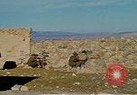 Standbild alliierten Soldaten Marokko Nordafrika, 1943, aus Sekunde 18 historischem Filmmaterial Videoclip 65675020493