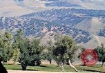 Image oliviers le Maroc l'Afrique du Nord, 1943, de la seconde 38 séquences d'archives historiques vidéo 65675020497