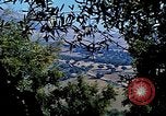 Image oliviers le Maroc l'Afrique du Nord, 1943, de la seconde 61 séquences d'archives historiques vidéo 65675020497