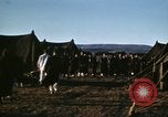Immagine di Ospedale da campo Il Nord Africa, 1942, secondo 30 filmato di repertorio 65675020503