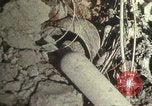 Immagine di Bomba aerei distrutto Il Nord Africa, 1942, secondo 54 filmato di repertorio 65675020507