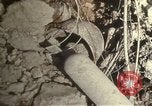 Immagine di Bomba aerei distrutto Il Nord Africa, 1942, secondo 55 filmato di repertorio 65675020507