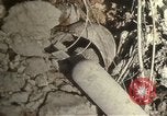 Immagine di Bomba aerei distrutto Il Nord Africa, 1942, secondo 56 filmato di repertorio 65675020507