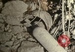 Immagine di Bomba aerei distrutto Il Nord Africa, 1942, secondo 58 filmato di repertorio 65675020507