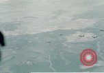 Image of Douglas A-26 Invader Germany, 1945, second 8 stock footage video 65675020528