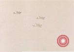Image of Douglas A-26 Invader Germany, 1945, second 32 stock footage video 65675020528