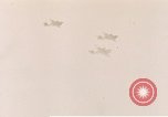 Image of Douglas A-26 Invader Germany, 1945, second 34 stock footage video 65675020528