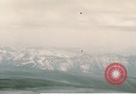 Image Douglas A-26 envahisseur Allemagne, 1945, de la seconde 23 séquences d'archives historiques vidéo 65675020534