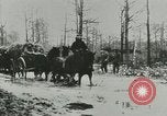 Image préparations Première Guerre Mondiale Kaiser Wilhelm II Allemagne, 1914, de la seconde 3 séquences d'archives historiques vidéo 65675020555