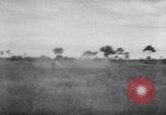 Immagine di Forniture di imballaggio Papua Nuova Guinea, 1944, secondo 24 filmato di repertorio 65675020561