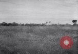 Immagine di Forniture di imballaggio Papua Nuova Guinea, 1944, secondo 25 filmato di repertorio 65675020561