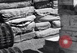 Immagine di Forniture di imballaggio Papua Nuova Guinea, 1944, secondo 57 filmato di repertorio 65675020561