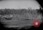 Image Fournitures d'emballage Papouasie Nouvelle Guinée, 1942, de la seconde 19 séquences d'archives historiques vidéo 65675020562