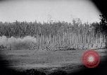 Image Fournitures d'emballage Papouasie Nouvelle Guinée, 1942, de la seconde 21 séquences d'archives historiques vidéo 65675020562