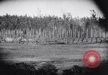 Image Fournitures d'emballage Papouasie Nouvelle Guinée, 1942, de la seconde 27 séquences d'archives historiques vidéo 65675020562