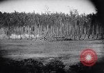 Image Fournitures d'emballage Papouasie Nouvelle Guinée, 1942, de la seconde 28 séquences d'archives historiques vidéo 65675020562