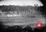 Image Fournitures d'emballage Papouasie Nouvelle Guinée, 1942, de la seconde 29 séquences d'archives historiques vidéo 65675020562