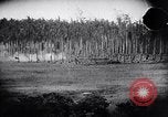 Image Fournitures d'emballage Papouasie Nouvelle Guinée, 1942, de la seconde 30 séquences d'archives historiques vidéo 65675020562