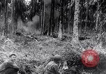 Image Fournitures d'emballage Papouasie Nouvelle Guinée, 1942, de la seconde 34 séquences d'archives historiques vidéo 65675020562