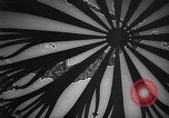 Image of New Guinea Campaign Papua New Guinea, 1944, second 43 stock footage video 65675020566