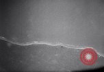 Image of New Guinea Campaign Papua New Guinea, 1943, second 13 stock footage video 65675020568