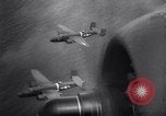 Image of New Guinea Campaign Papua New Guinea, 1943, second 41 stock footage video 65675020568