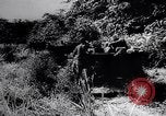 Image of New Guinea Campaign Papua New Guinea, 1944, second 33 stock footage video 65675020569