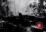 Image of New Guinea Campaign Papua New Guinea, 1944, second 47 stock footage video 65675020569