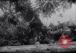 Image of New Guinea Campaign Papua New Guinea, 1944, second 49 stock footage video 65675020569