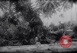 Image of New Guinea Campaign Papua New Guinea, 1944, second 50 stock footage video 65675020569