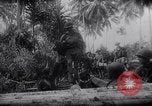 Image of New Guinea Campaign Papua New Guinea, 1944, second 51 stock footage video 65675020569
