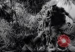 Image of New Guinea Campaign Papua New Guinea, 1944, second 52 stock footage video 65675020569
