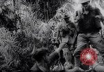 Image of New Guinea Campaign Papua New Guinea, 1944, second 53 stock footage video 65675020569
