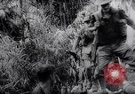 Image of New Guinea Campaign Papua New Guinea, 1944, second 54 stock footage video 65675020569